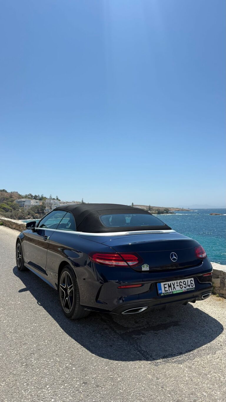 MERCEDES-C220-BACK